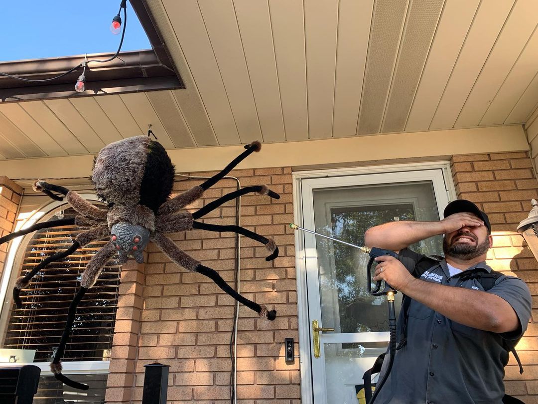 Tips to Keep Spiders Out of Your Home! Columbia Pest Control